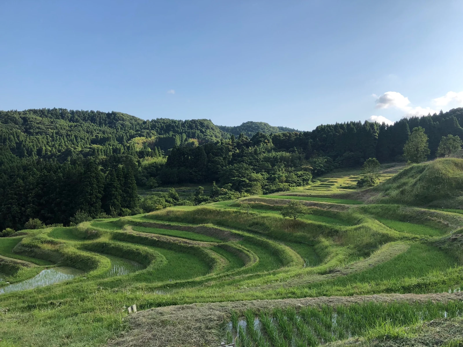大山千枚田